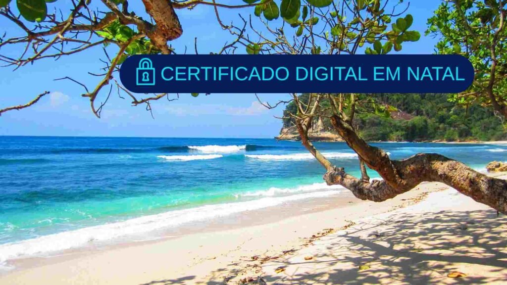 Tudo o que você precisa saber sobre certificado digital em Natal 8 certificado digital em natal